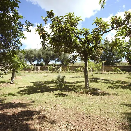 Stanza Dell'ulivo Aranova
